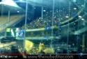 IPL 2018 - Fighters expressing opposition with Torch on Chepauk